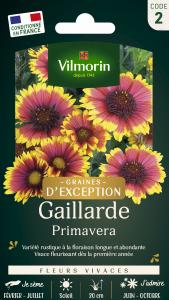 Gaillarde Primavera - Graines d'Exception